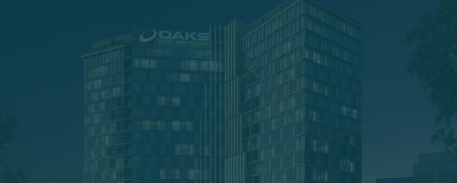 marginsdevelopments progress - null